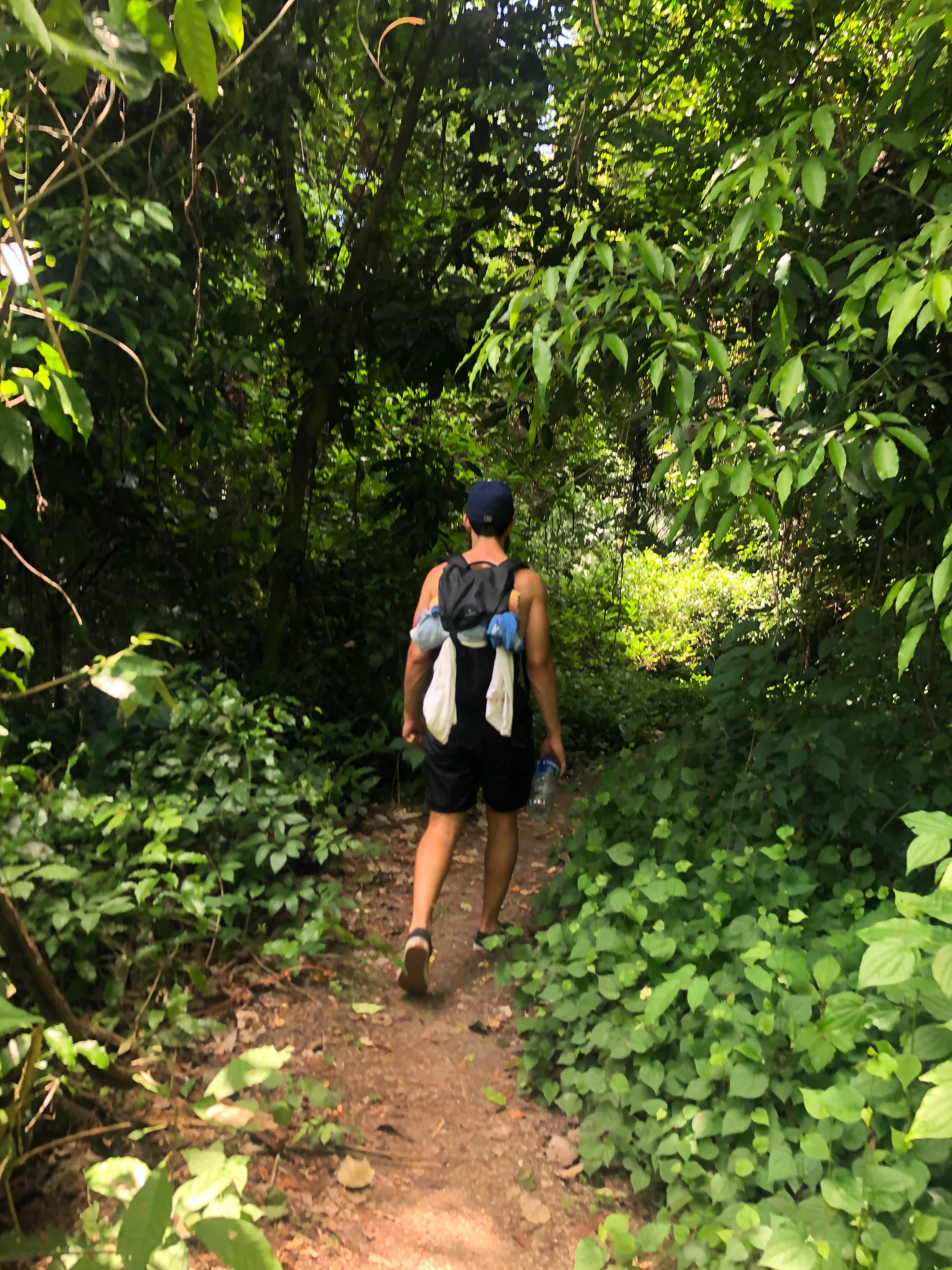 Hiking in Costa Rica process image